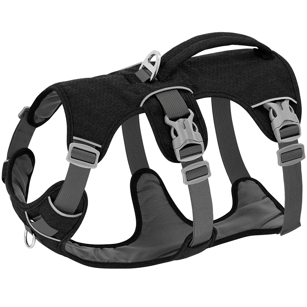 SECURESTEP™ ESCAPE-PROOF HARNESS