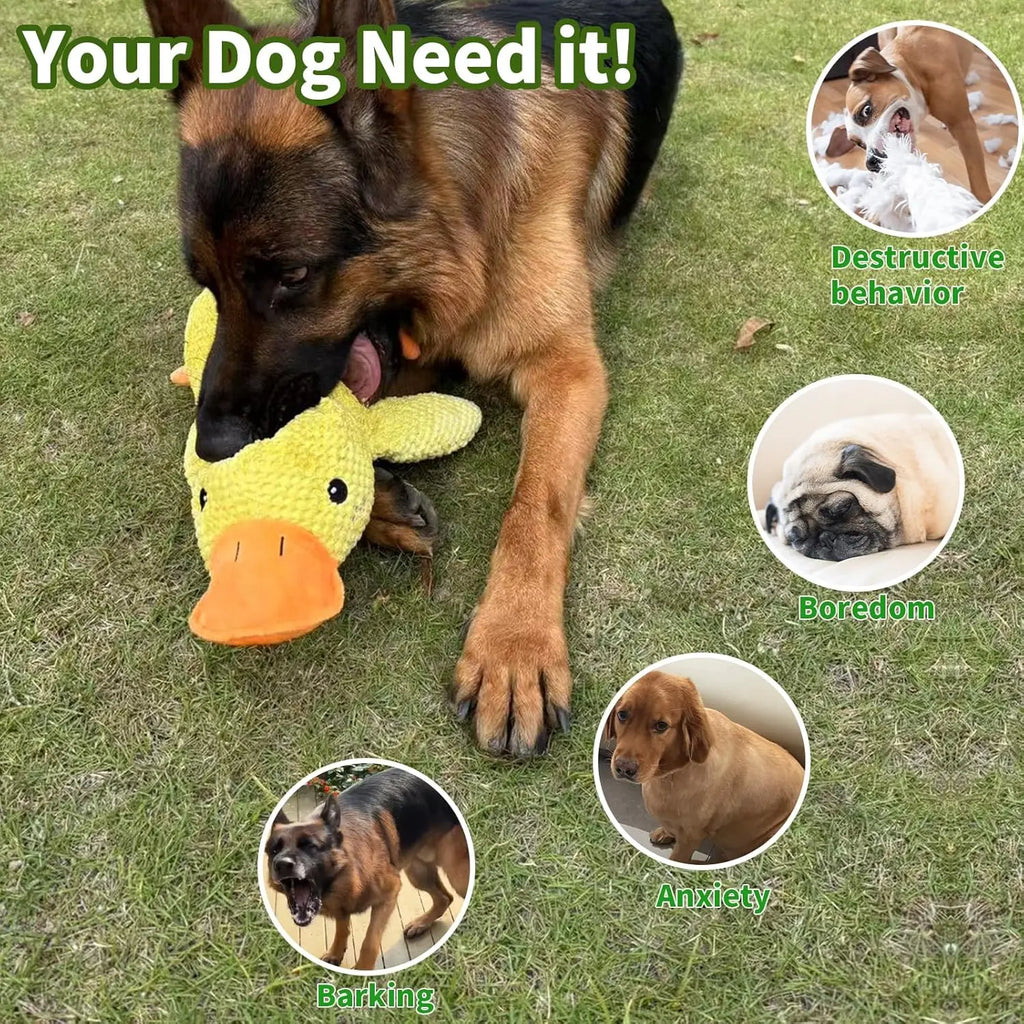 DUCKYFUN™ SQUEAKY DOG TOY