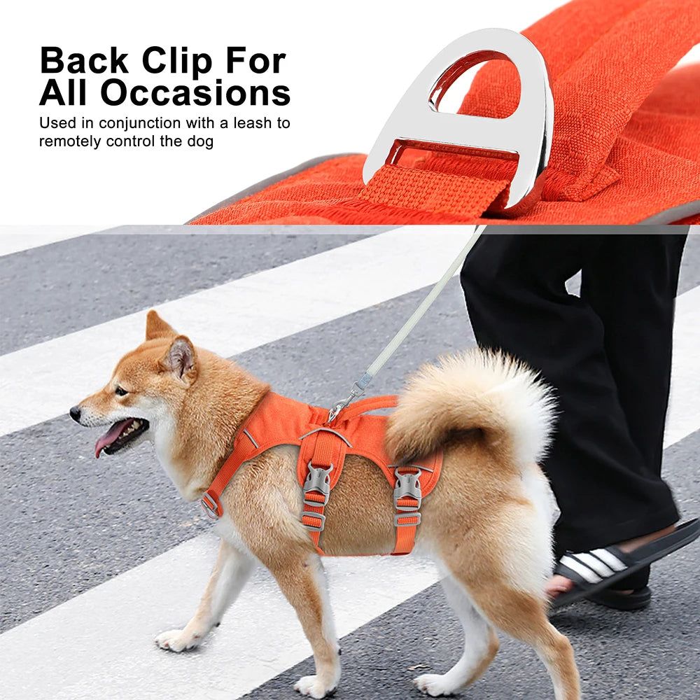 SECURESTEP™ ESCAPE-PROOF HARNESS