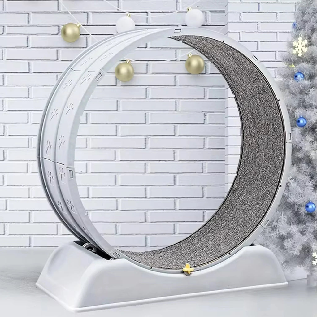 CAT EXERCISE WHEEL
