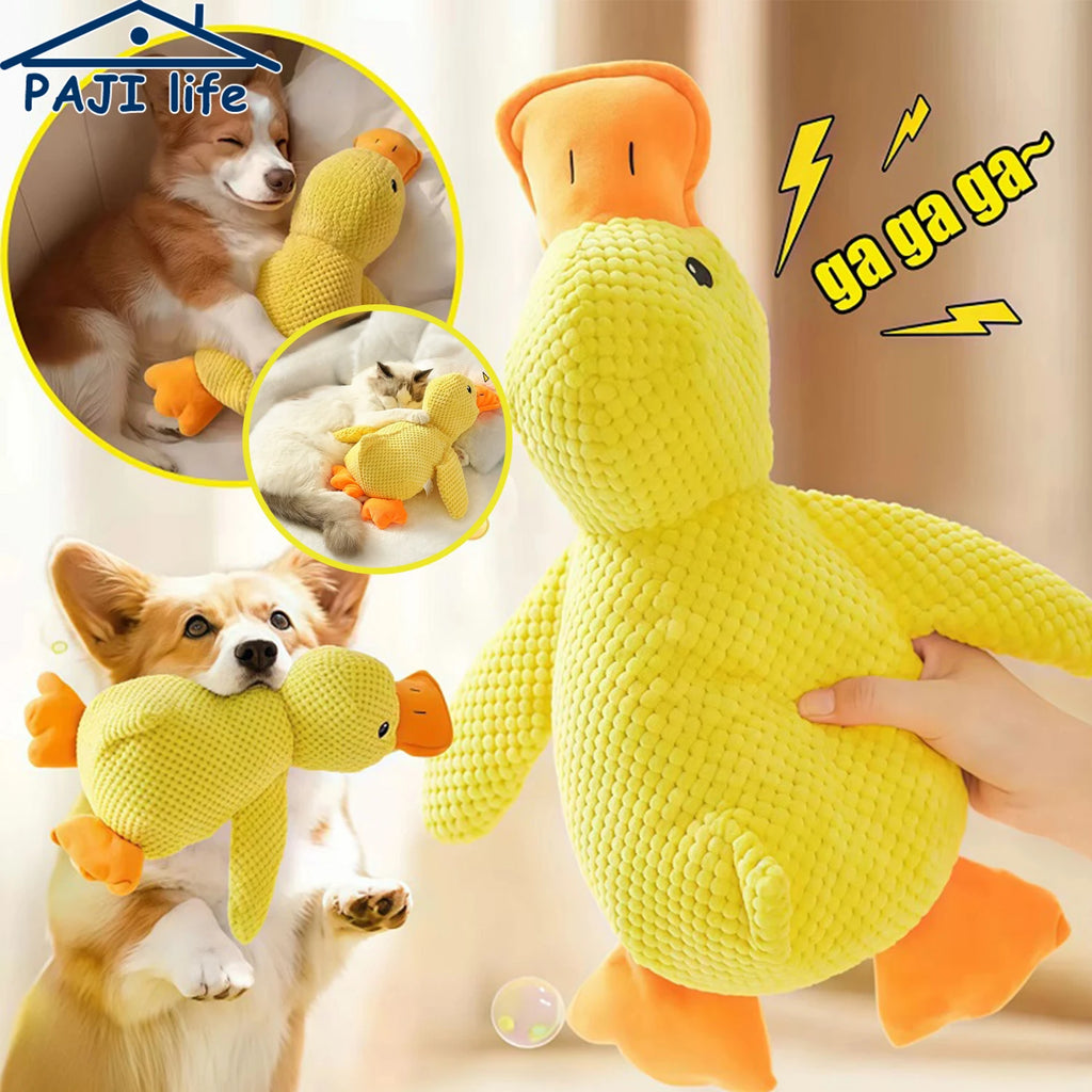 DUCKYFUN™ SQUEAKY DOG TOY
