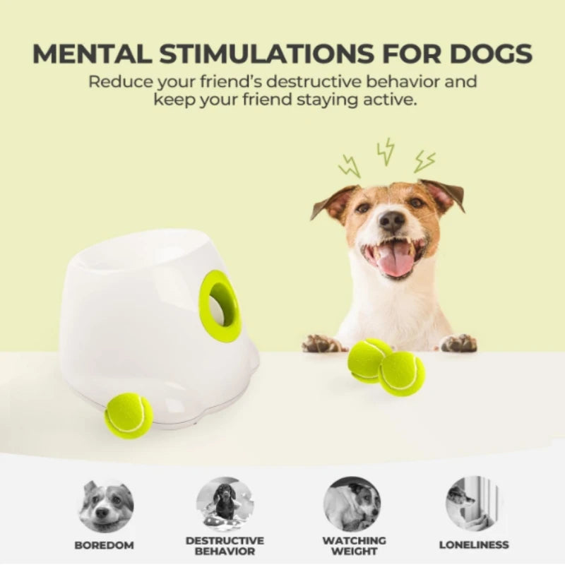 AUTOMATIC BALL LAUNCHER FOR DOGS