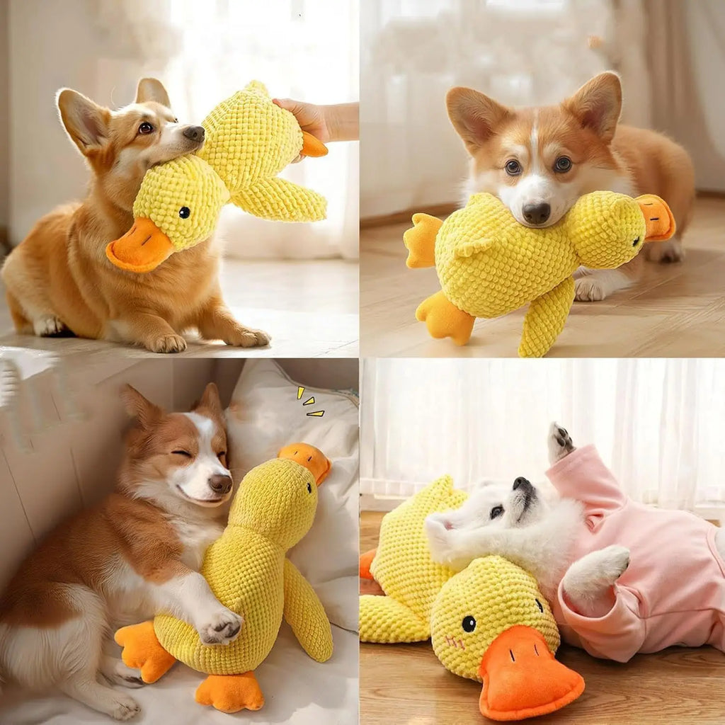 DUCKYFUN™ SQUEAKY DOG TOY