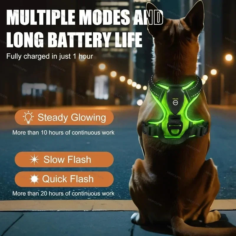 GLOWHARNESS™ LED SAFETY HARNESS