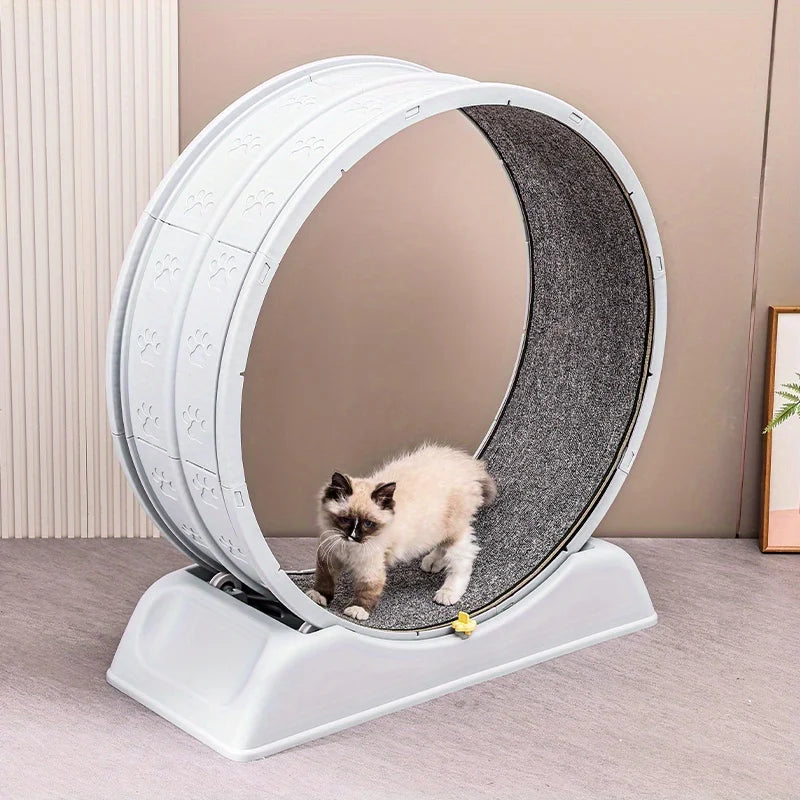 CAT EXERCISE WHEEL