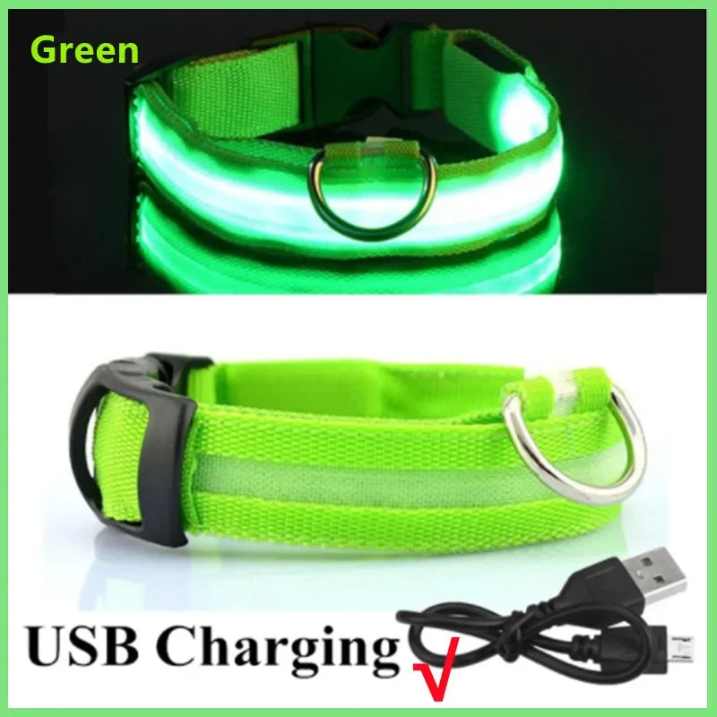 GLOWPAW™ LED RECHARGEABLE SAFETY COLLAR