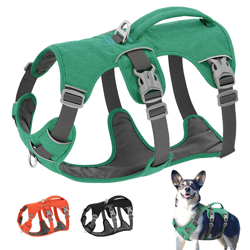 SECURESTEP™ ESCAPE-PROOF HARNESS