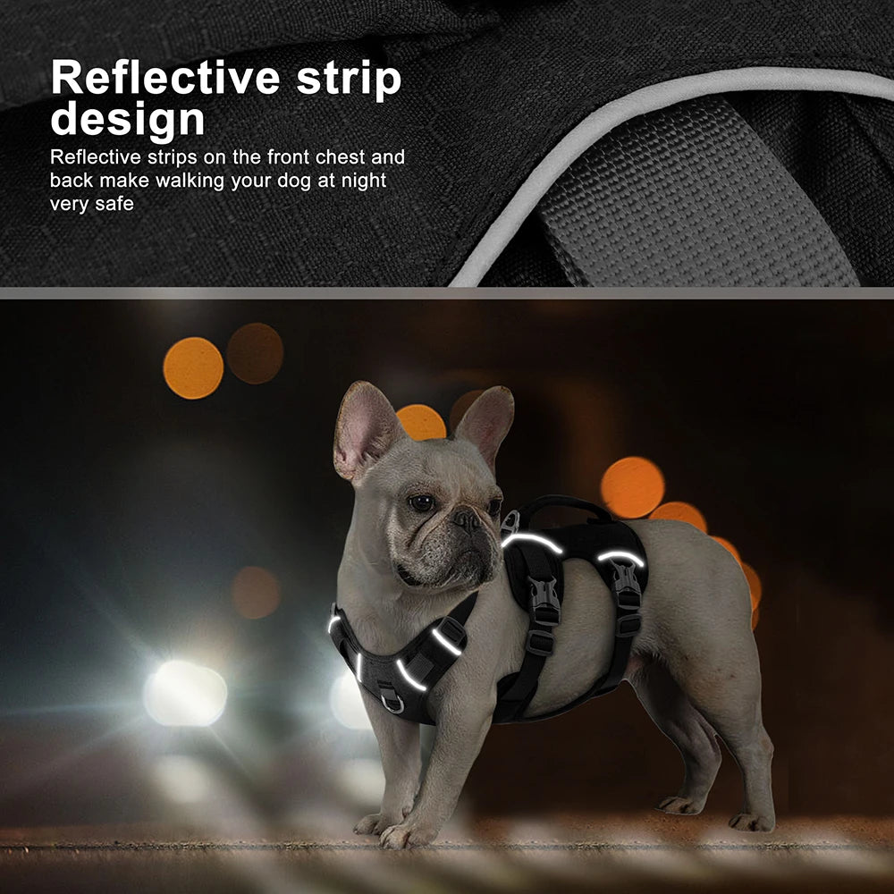 SECURESTEP™ ESCAPE-PROOF HARNESS