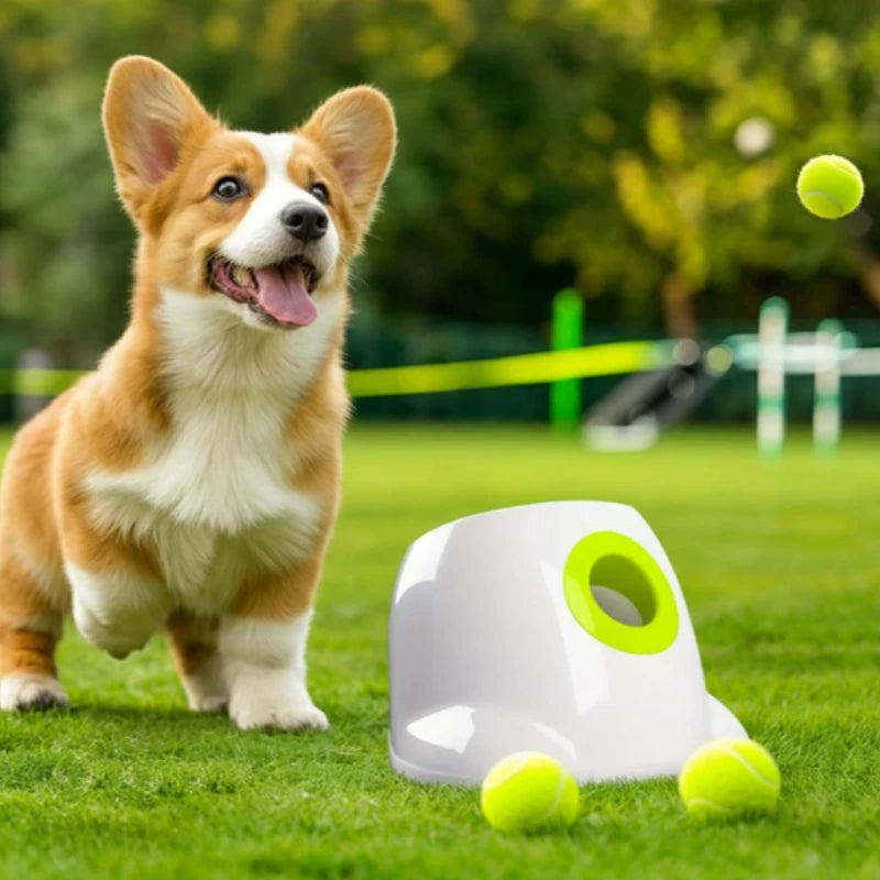 AUTOMATIC BALL LAUNCHER FOR DOGS