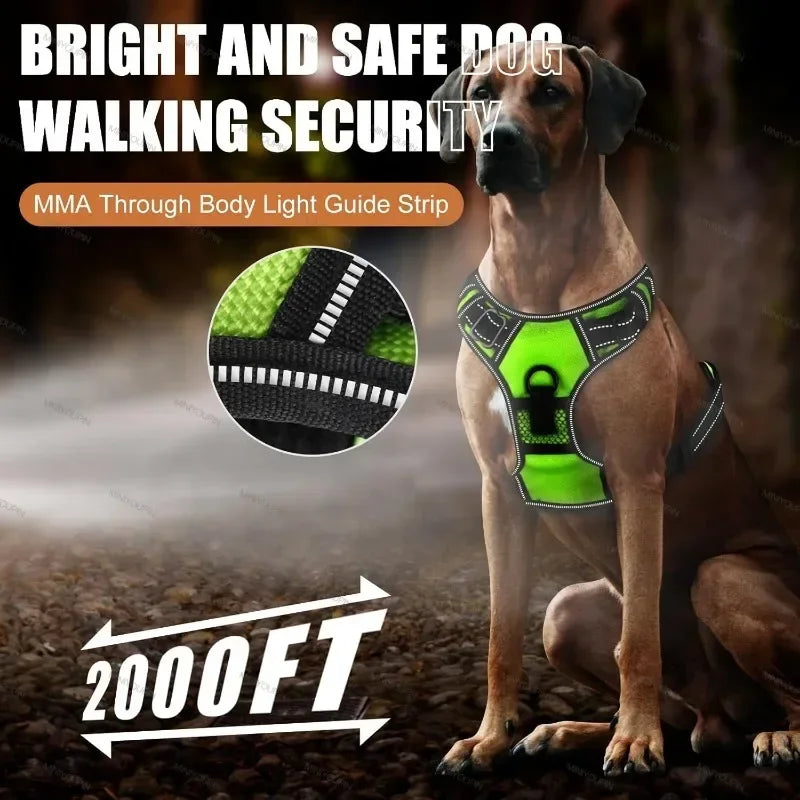 GLOWHARNESS™ LED SAFETY HARNESS