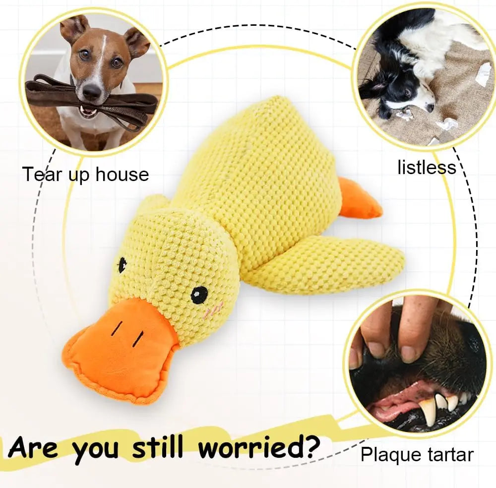 DUCKYFUN™ SQUEAKY DOG TOY
