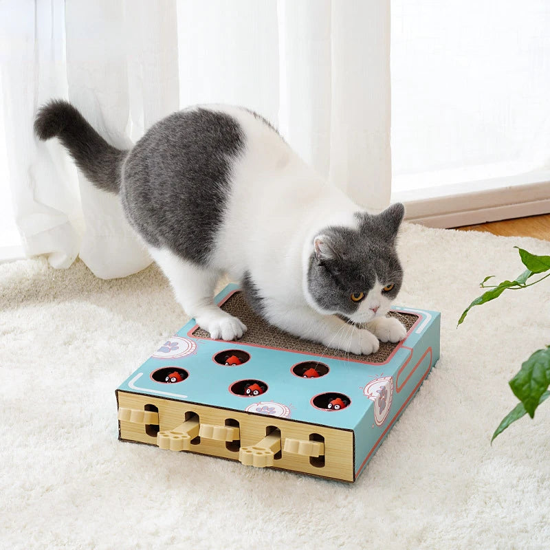 PLAYPAWS™ INTERACTIVE CAT SCRATCH BOX