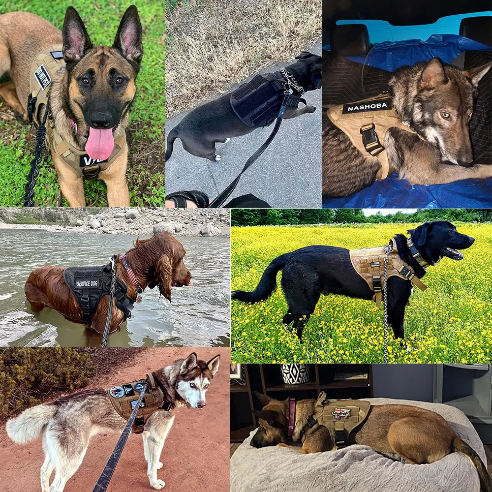 TACTIPRO™ COMPLETE DOG HARNESS SET