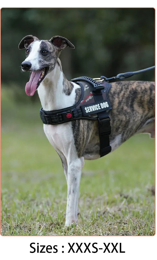 PAWELITE™ CUSTOM DOG HARNESS