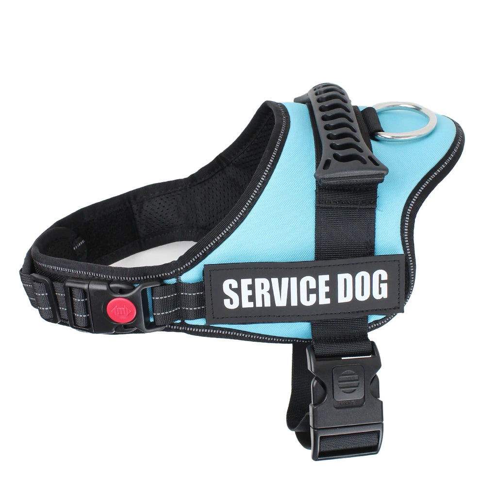 PAWELITE™ CUSTOM DOG HARNESS