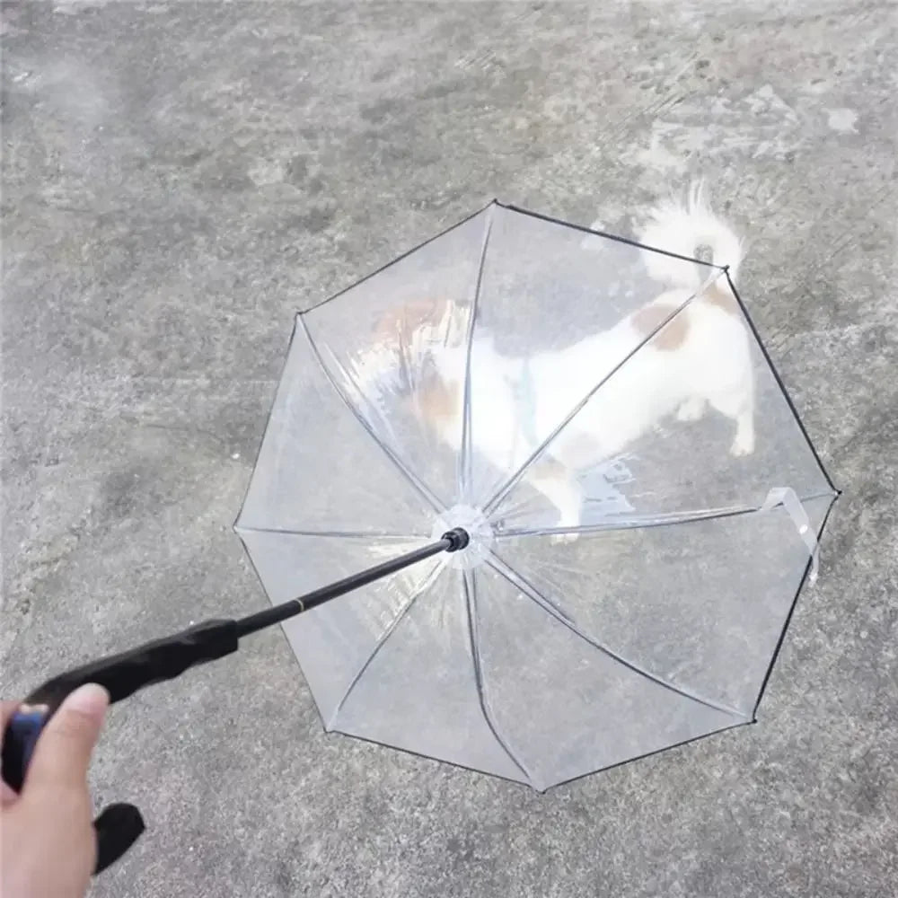 PAWSHIELD™ – CLEAR PET UMBRELLA LEASH