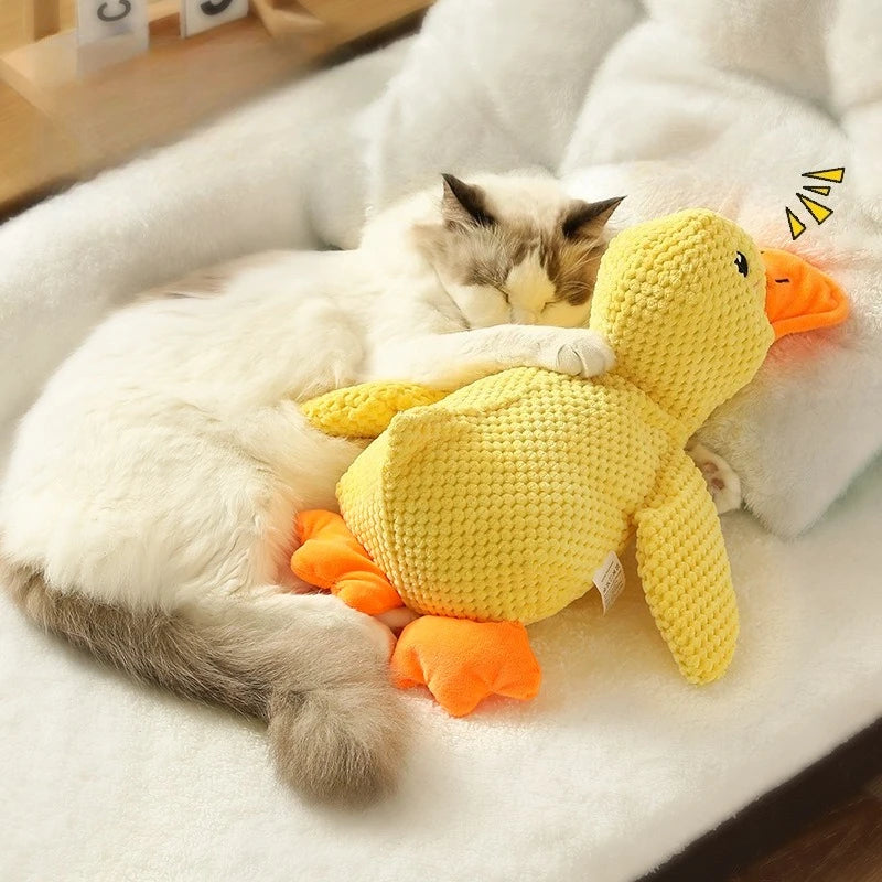 DUCKYFUN™ SQUEAKY DOG TOY