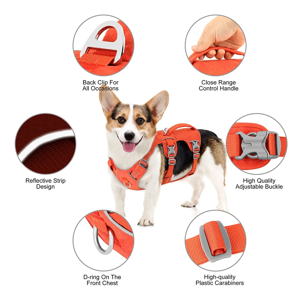 SECURESTEP™ ESCAPE-PROOF HARNESS