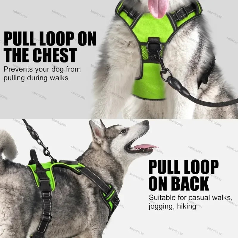 GLOWHARNESS™ LED SAFETY HARNESS