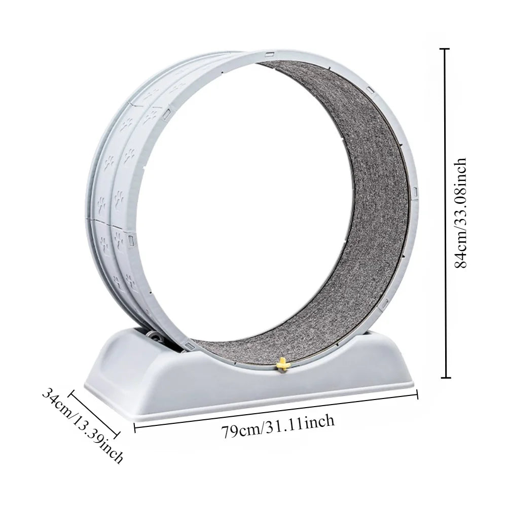 CAT EXERCISE WHEEL