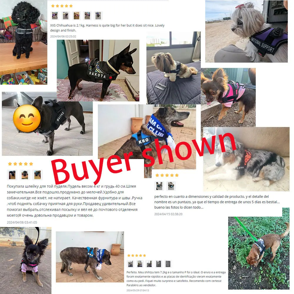 PAWELITE™ CUSTOM DOG HARNESS